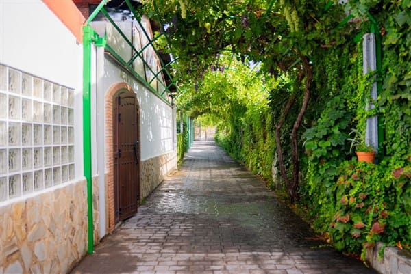 1 bedroom Commercial for sale in La Peza with garage - € 292,000 (Ref: 8292995)