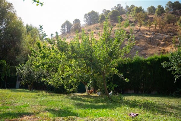 1 bedroom Commercial for sale in La Peza with garage - € 292,000 (Ref: 8292995)