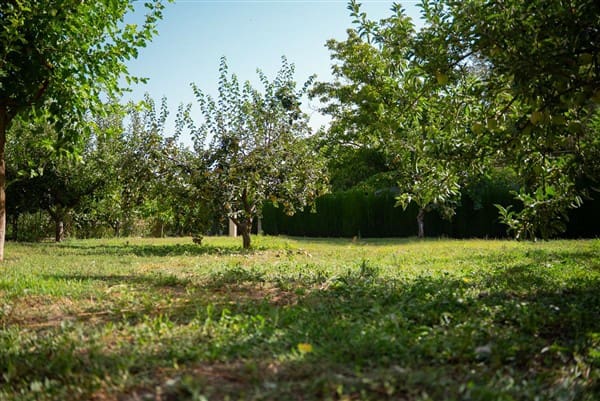 1 bedroom Commercial for sale in La Peza with garage - € 292,000 (Ref: 8292995)