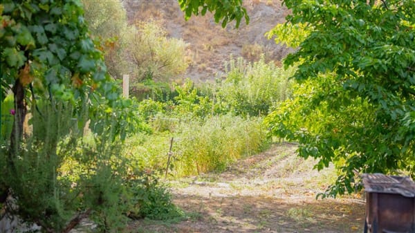 1 bedroom Commercial for sale in La Peza with garage - € 292,000 (Ref: 8292995)