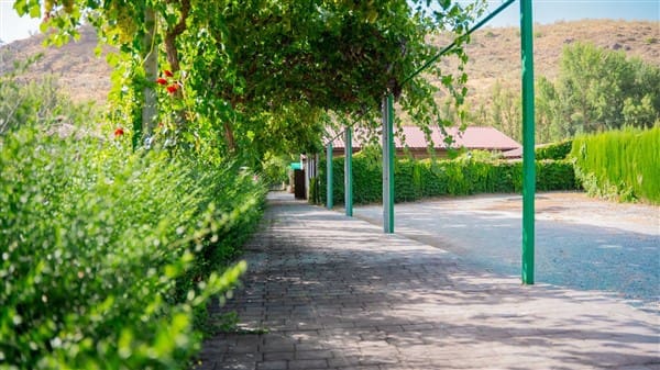 1 bedroom Commercial for sale in La Peza with garage - € 292,000 (Ref: 8292995)