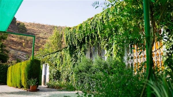 1 bedroom Commercial for sale in La Peza with garage - € 292,000 (Ref: 8292995)