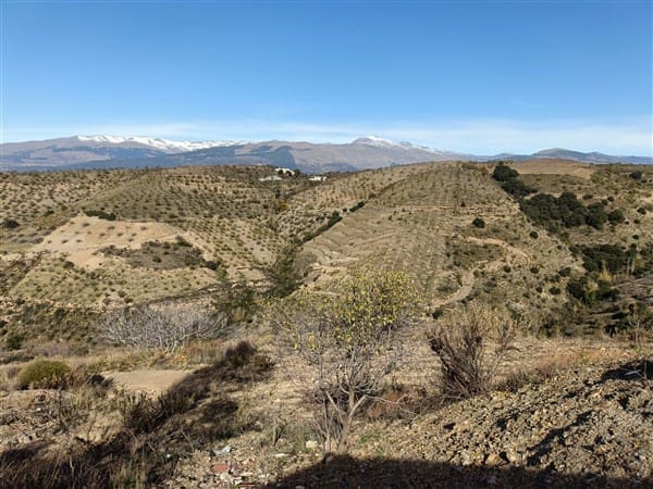 1 soveværelse Finca/Landehus til salg i Torvizcon - € 90.000 (Ref: 8309530)