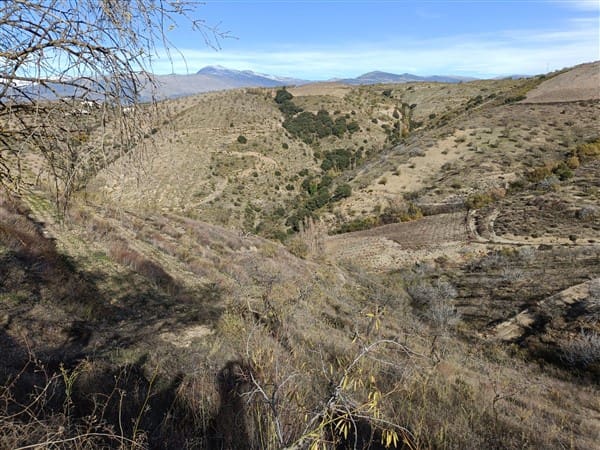 1 soveværelse Finca/Landehus til salg i Torvizcon - € 90.000 (Ref: 8309530)