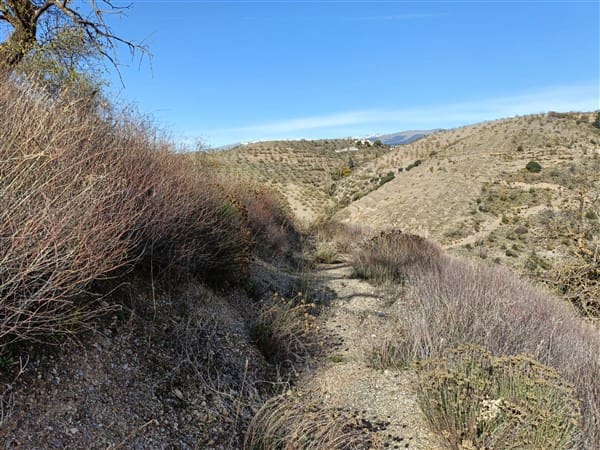 1 soveværelse Finca/Landehus til salg i Torvizcon - € 90.000 (Ref: 8309530)