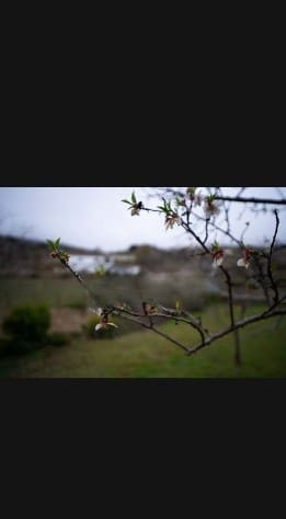 3 soveværelse Finca/Landehus til salg i Mecina Bombaron - € 130.000 (Ref: 8325099)