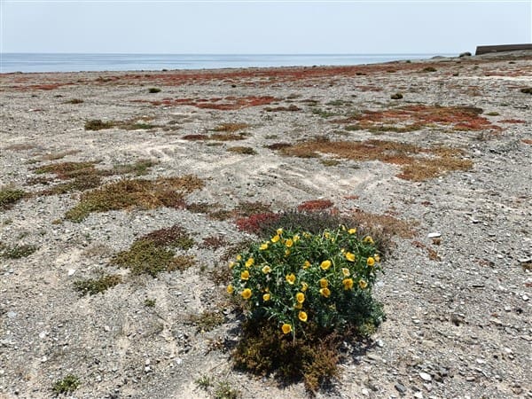 8 soveværelse Rækkehus til salg i Albunol - € 287.000 (Ref: 8341945)