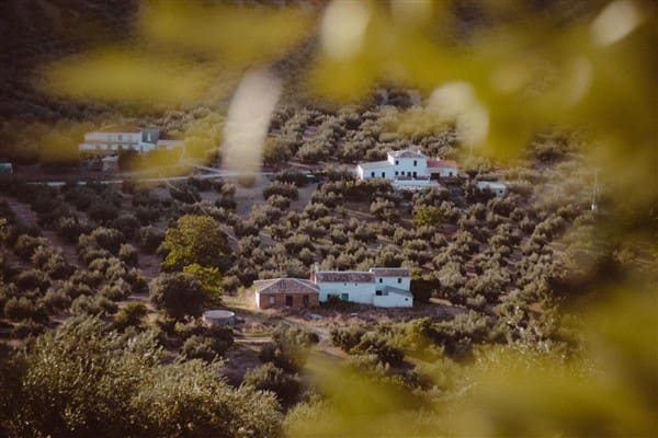 12 soveværelse Finca/Landehus til salg i Montefrio med garage - € 138.000 (Ref: 8349120)