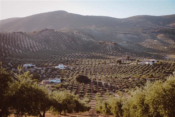 12 soverom Finca/Herregård til salgs i Montefrío med garasje - € 138 000 (Ref: 8349120)