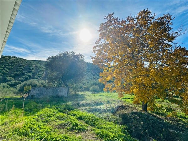 12 soverom Finca/Herregård til salgs i Montefrío med garasje - € 138 000 (Ref: 8349120)