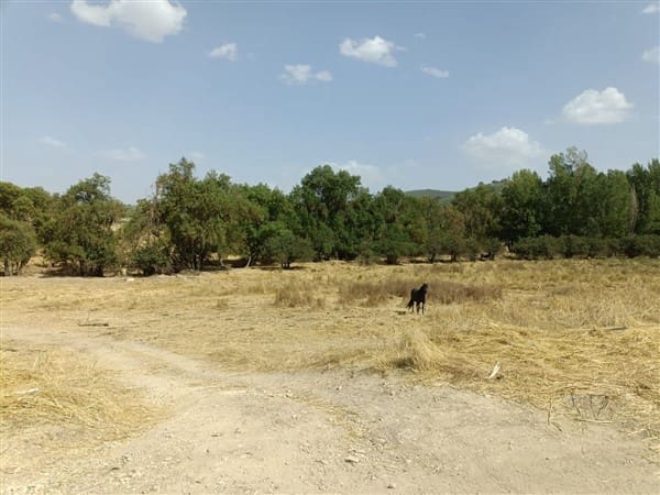 12 soveværelse Finca/Landehus til salg i Montefrio med garage - € 138.000 (Ref: 8349120)