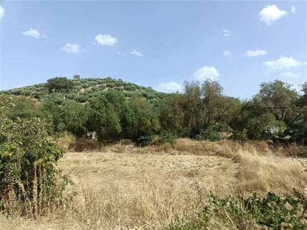 12 soveværelse Finca/Landehus til salg i Montefrio med garage - € 138.000 (Ref: 8349120)