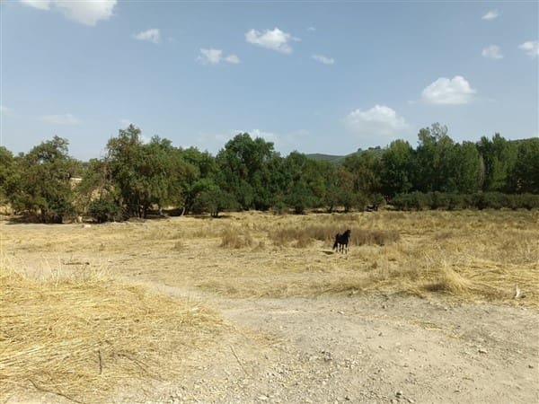 12 soveværelse Finca/Landehus til salg i Montefrio med garage - € 138.000 (Ref: 8349120)