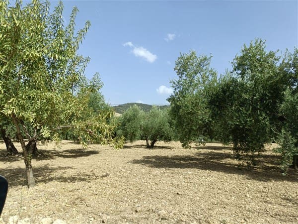 12 soveværelse Finca/Landehus til salg i Montefrio med garage - € 138.000 (Ref: 8349120)