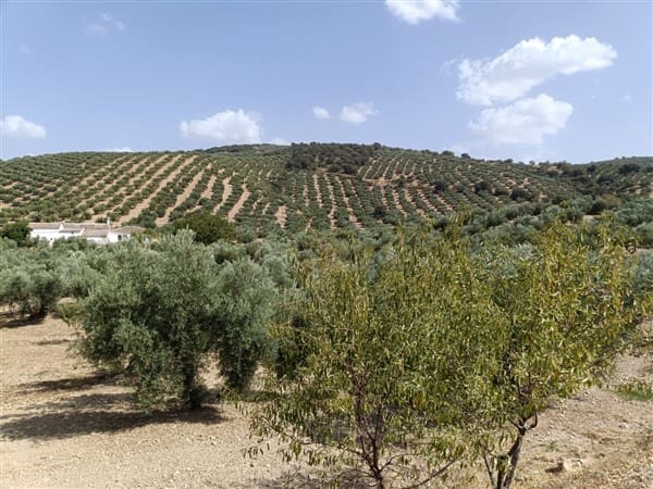 12 soveværelse Finca/Landehus til salg i Montefrio med garage - € 138.000 (Ref: 8349120)