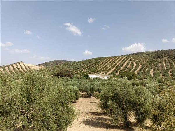 12 soveværelse Finca/Landehus til salg i Montefrio med garage - € 138.000 (Ref: 8349120)