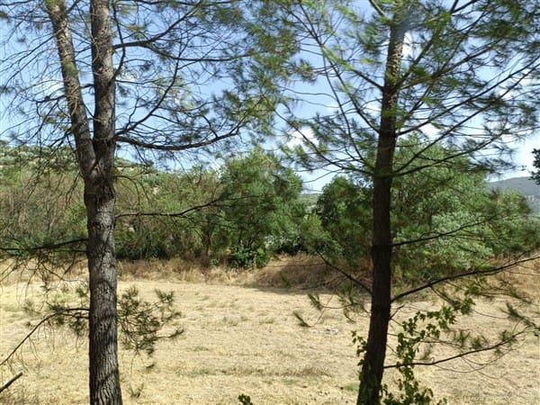 12 soveværelse Finca/Landehus til salg i Montefrio med garage - € 138.000 (Ref: 8349120)