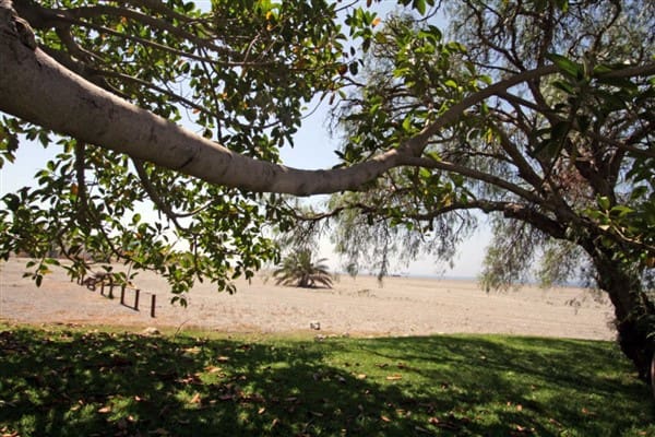 2 soveværelse Lejlighed til salg i Motril - € 138.000 (Ref: 8514936)