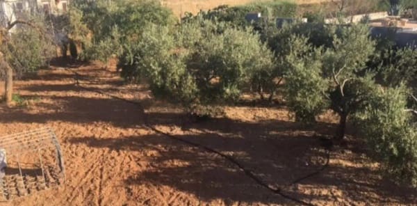 3 quarto Quinta/Casa Rural para venda em Moraleda de Zafayona com piscina - 159 000 € (Ref: 8566081)