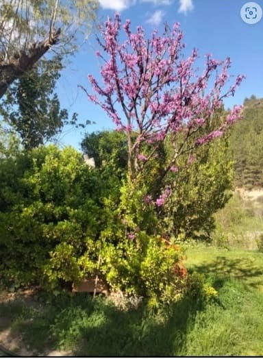 2 soveværelse Finca/Landehus til salg i La Peza med swimmingpool garage - € 90.000 (Ref: 8602668)