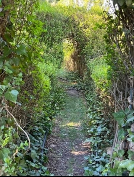 2 soveværelse Finca/Landehus til salg i La Peza med swimmingpool garage - € 90.000 (Ref: 8602668)