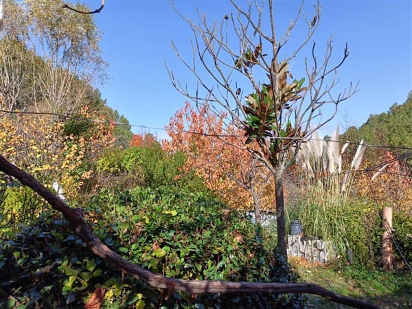 2 soveværelse Finca/Landehus til salg i La Peza med swimmingpool garage - € 90.000 (Ref: 8602668)