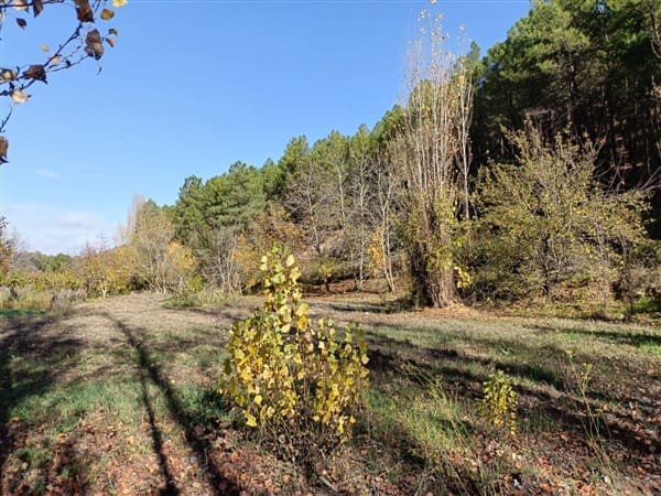 2 soveværelse Finca/Landehus til salg i La Peza med swimmingpool garage - € 90.000 (Ref: 8602668)