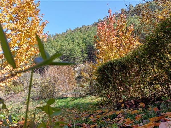 2 soveværelse Finca/Landehus til salg i La Peza med swimmingpool garage - € 90.000 (Ref: 8602668)