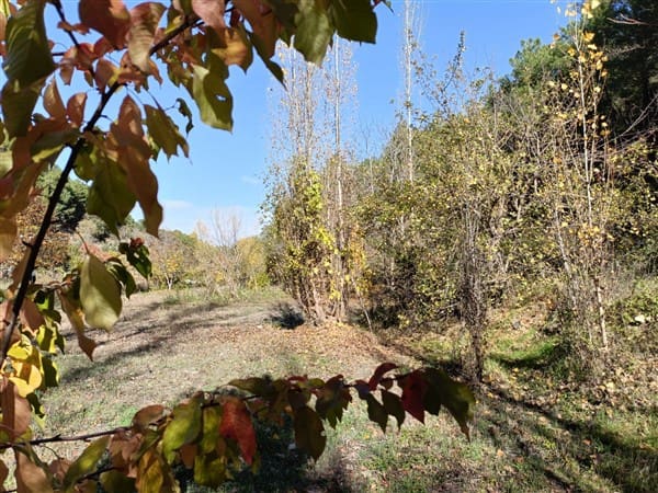 2 soveværelse Finca/Landehus til salg i La Peza med swimmingpool garage - € 90.000 (Ref: 8602668)