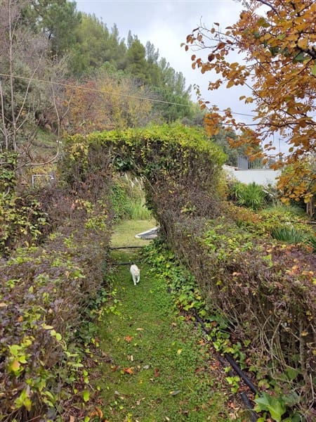 2 soveværelse Finca/Landehus til salg i La Peza med swimmingpool garage - € 90.000 (Ref: 8602668)