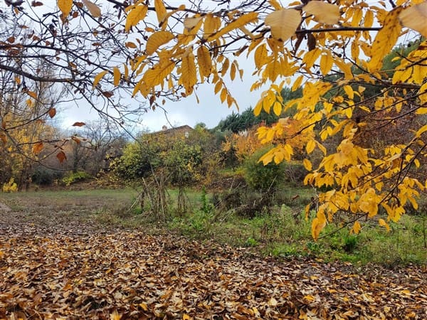 2 soveværelse Finca/Landehus til salg i La Peza med swimmingpool garage - € 90.000 (Ref: 8602668)