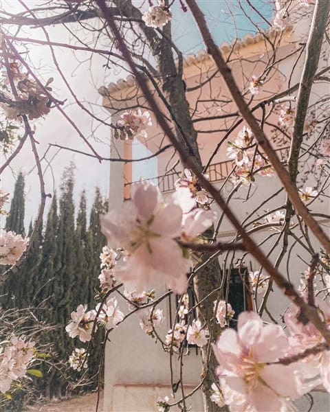 4 soveværelse Villa til salg i Alomartes med swimmingpool garage - € 198.000 (Ref: 8665907)