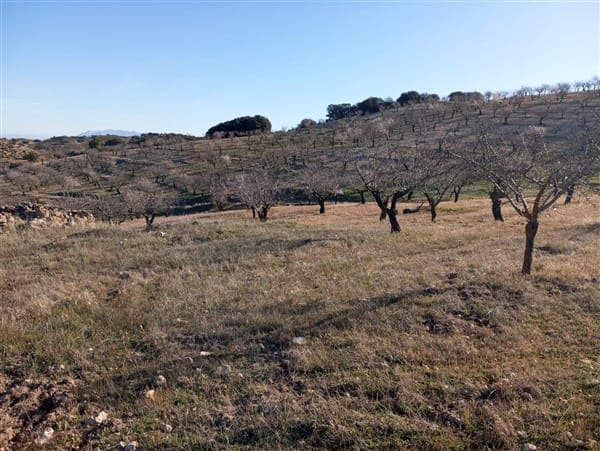 Finca/Landehus til salg i Cacin med garage - € 90.000 (Ref: 8813539)