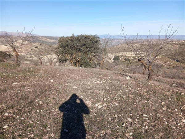 Finca/Landehus til salg i Cacin med garage - € 90.000 (Ref: 8813539)