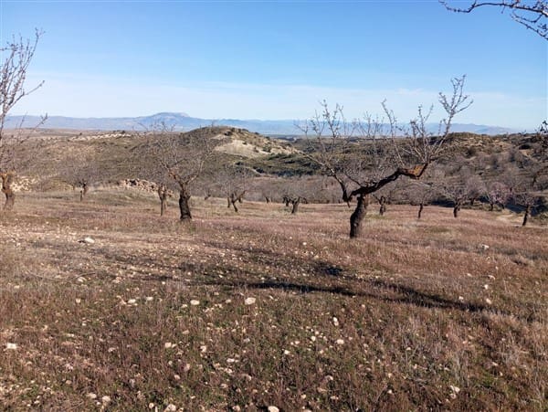Finca/Landehus til salg i Cacin med garage - € 90.000 (Ref: 8813539)