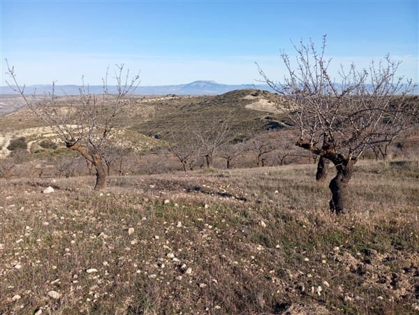 Finca/Landehus til salg i Cacin med garage - € 90.000 (Ref: 8813539)