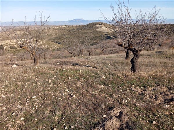 Maalaistalo myytävänä paikassa Cacín mukana 
autotalli - 90 000 € (Ref: 8813539)