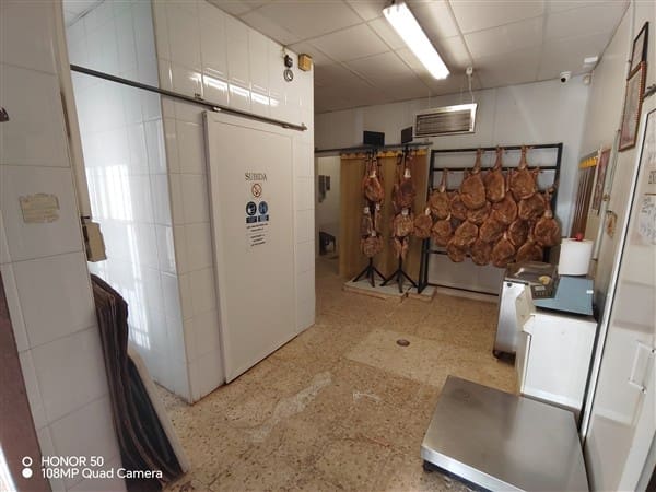 Commercial for sale in Illora - € 299,000 (Ref: 8834996)