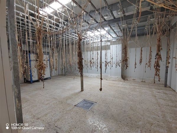 Erhverv til salg i Illora - € 299.000 (Ref: 8834996)