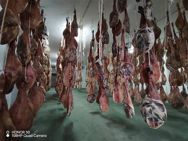 Erhverv til salg i Illora - € 299.000 (Ref: 8834996)