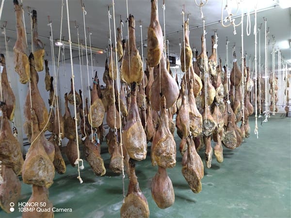 Erhverv til salg i Illora - € 299.000 (Ref: 8834996)