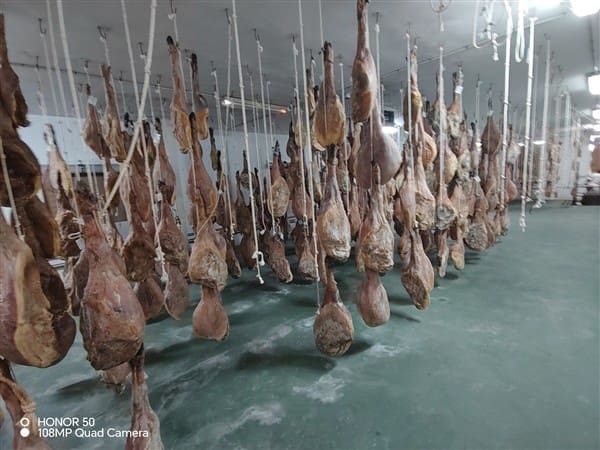 Erhverv til salg i Illora - € 299.000 (Ref: 8834996)