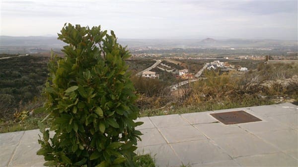 Grunde uden byggetilladelser til salg i La Zubia - € 74.900 (Ref: 8930726)