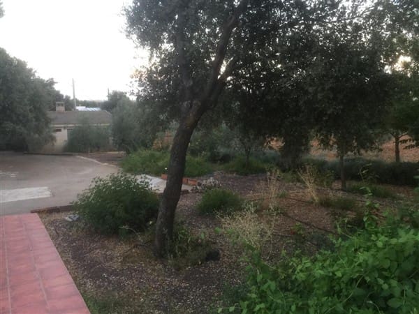 8 soveværelse Villa til salg i Ciudad Real by med swimmingpool garage - € 449.000 (Ref: 9187650)