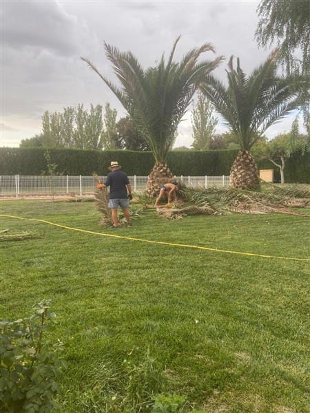 8 soveværelse Villa til salg i Ciudad Real by med swimmingpool garage - € 449.000 (Ref: 9187650)