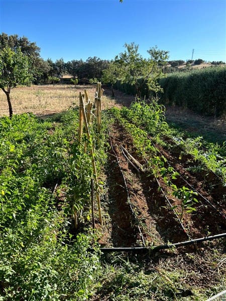 8 soveværelse Villa til salg i Ciudad Real by med swimmingpool garage - € 449.000 (Ref: 9187650)