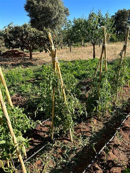 8 soveværelse Villa til salg i Ciudad Real by med swimmingpool garage - € 449.000 (Ref: 9187650)