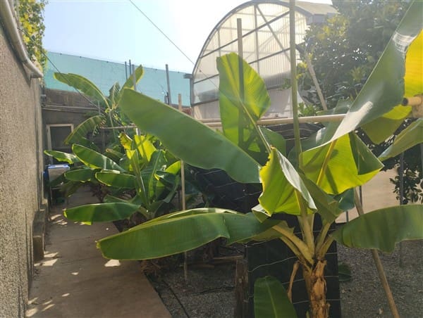 5 soveværelse Finca/Landehus til salg i Sorvilan med garage - € 750.000 (Ref: 9189584)