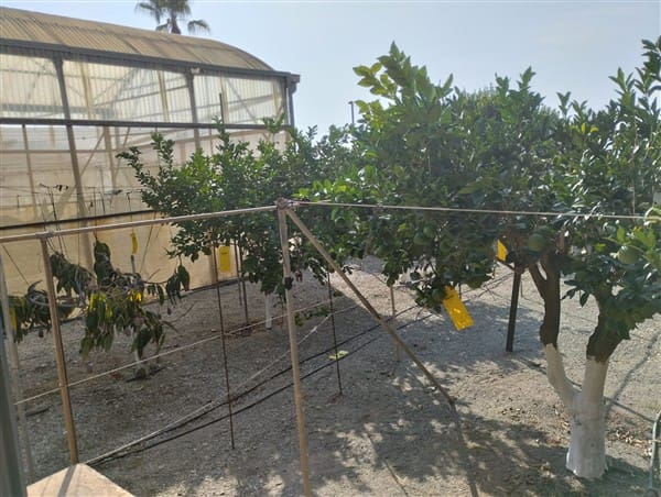 5 soveværelse Finca/Landehus til salg i Sorvilan med garage - € 750.000 (Ref: 9189584)