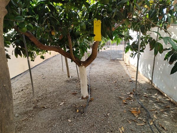 5 soveværelse Finca/Landehus til salg i Sorvilan med garage - € 750.000 (Ref: 9189584)